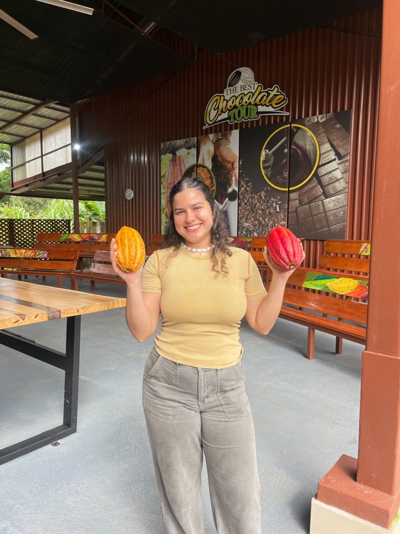 Mazorcas de cacao frescas durante un Chocolate Tour en Upala, Costa Rica.